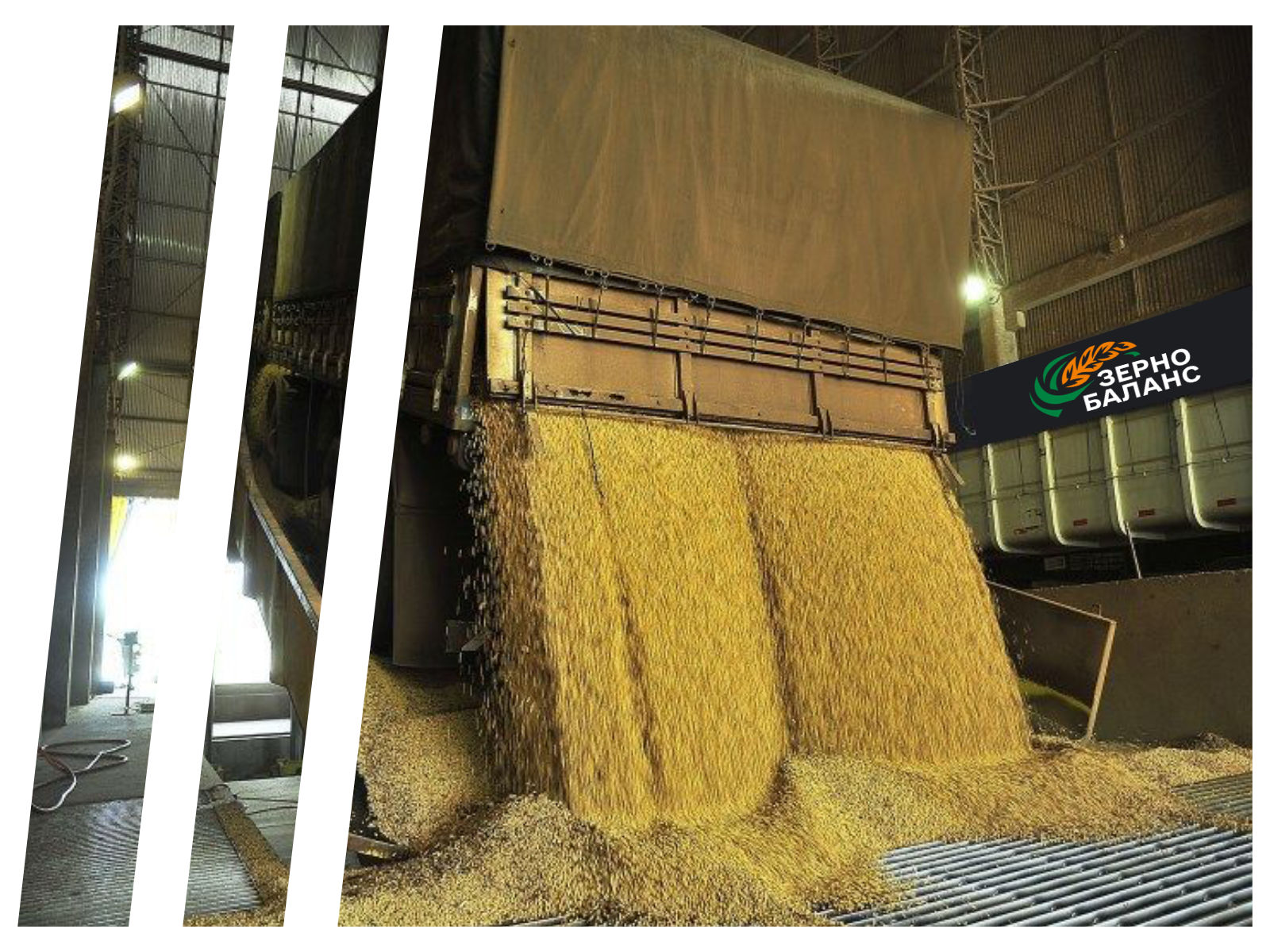 Наш елеватор