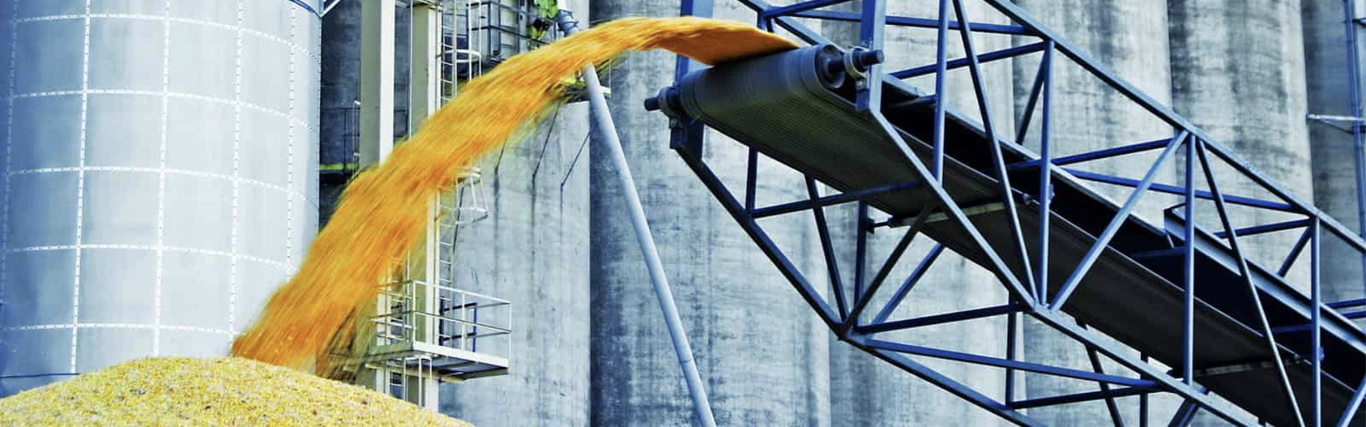 Сучасний елеватор