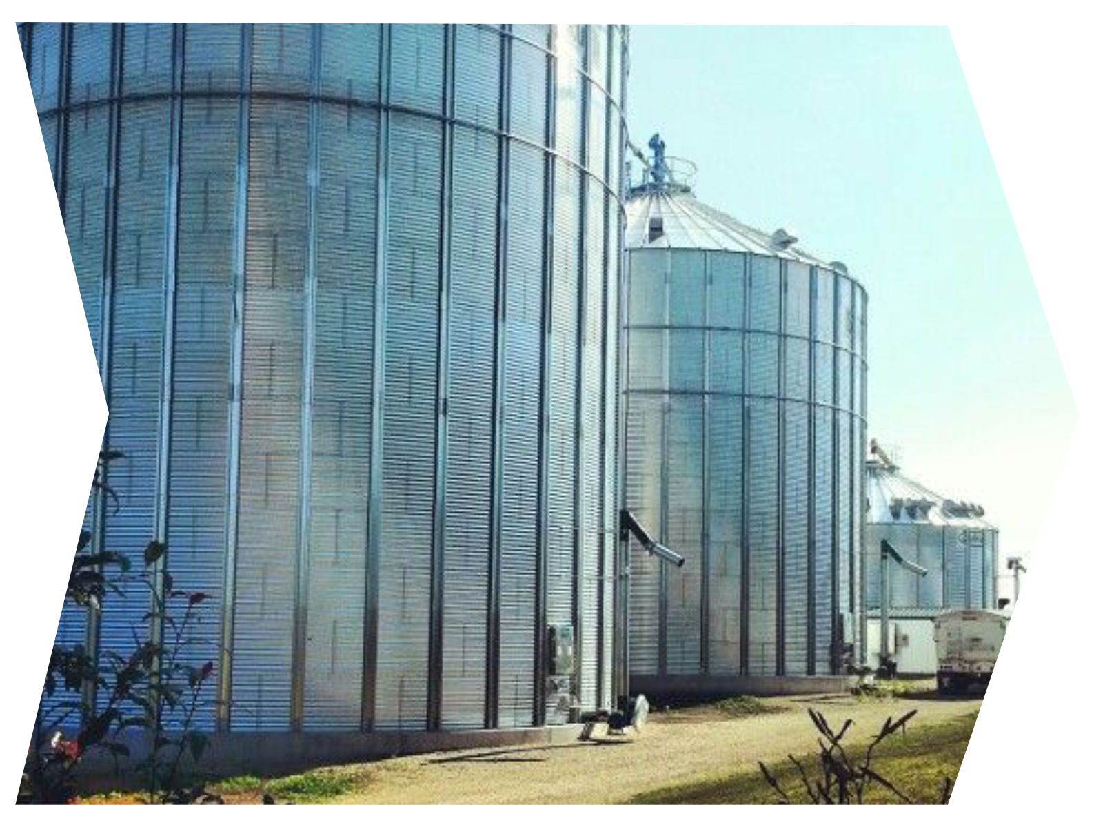 Зберігання зерна