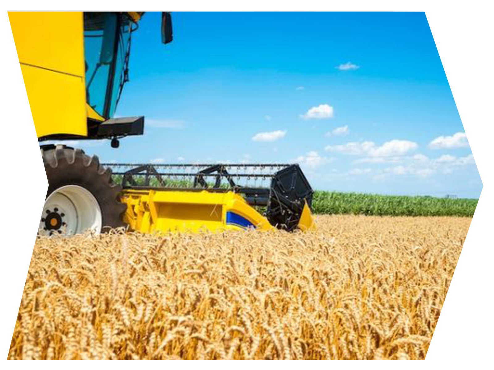 Партнерські проекти