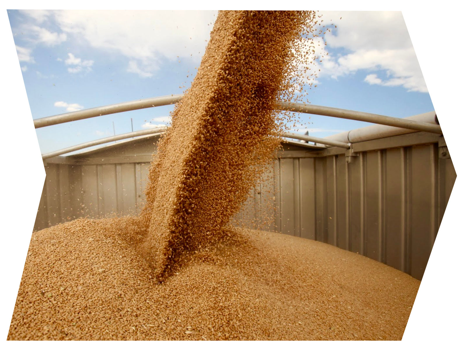 Елеваторні послуги