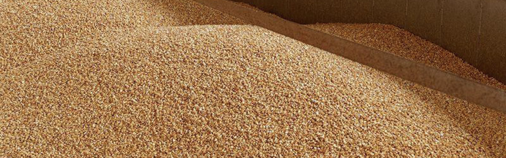 Оптимальне зберігання зерна